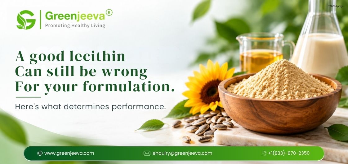 Sunflower Lecithin Powder in Food Formulation: What Determines Its Performance?
